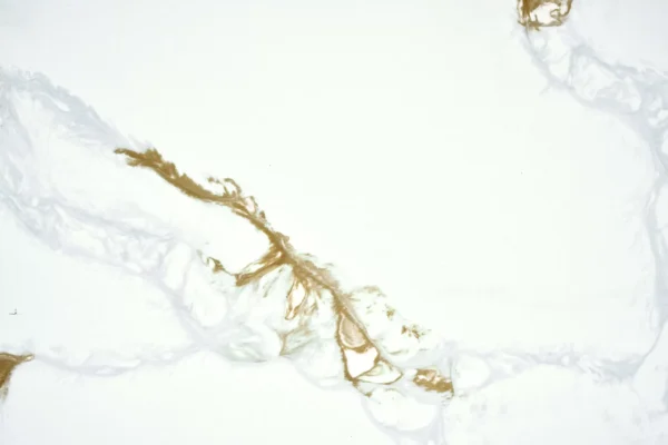 Calacatta Bellatrix quartz supplier