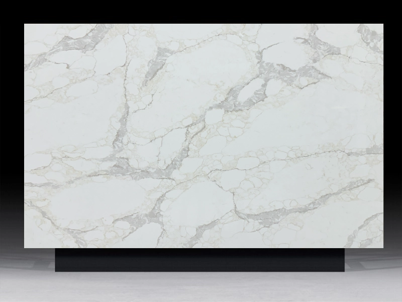 20240813A-Calacatta Argentina Quartz